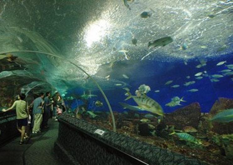 Underwater World Langkawi